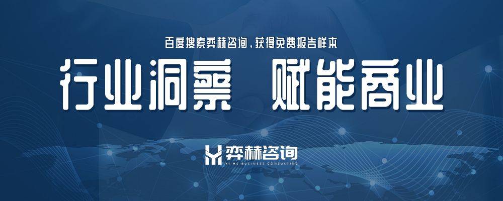 2025年懒人沙发市场凯发K8国际全面分析(图2)