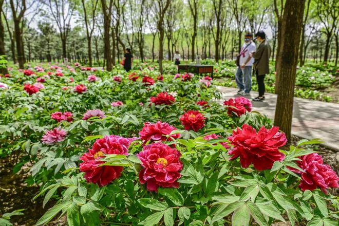 ：三大+书市+特色小镇打卡文旅新地标凯发K8登录120小时玩转副中心-2(图4)